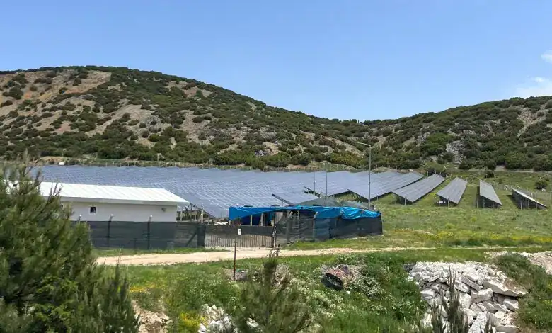 What Are Solar Panels and How Do They Work?