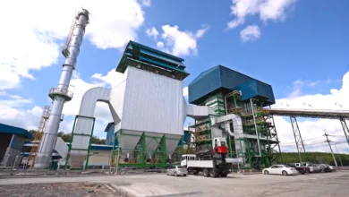 Overview of biomass energy pros and cons, showing how organic materials are turned into renewable energy.