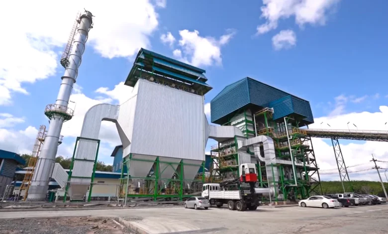 Overview of biomass energy pros and cons, showing how organic materials are turned into renewable energy.